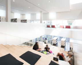 Saul-Bellow Library